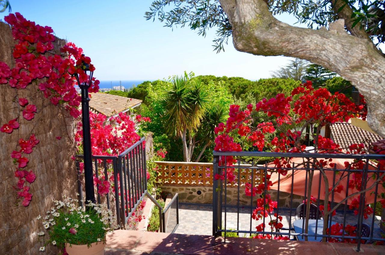 Апартаменти Arts House - Cabrils, Maresme, Barcelona Екстер'єр фото